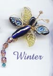 Dragonfly Winter